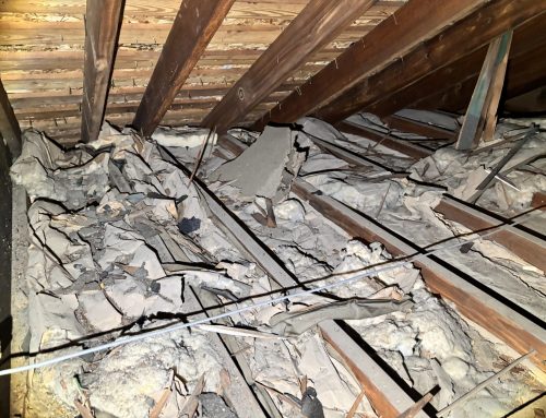 Professional Insulation Removal Services on Delmarva